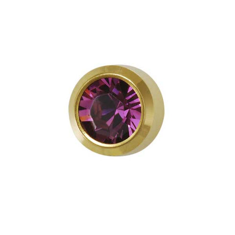 February Gold Bezel - Amethyst FD2041 - Rossan Distributors