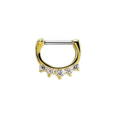 Septum Ring BJ1306G