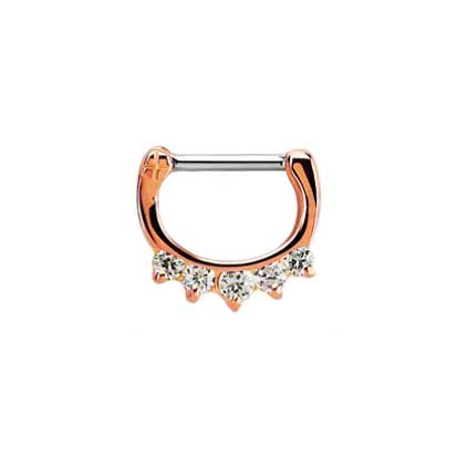 Septum Ring BJ1306R