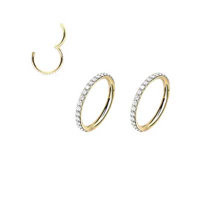Hinged Segment Earrings Jewelled EH9010C